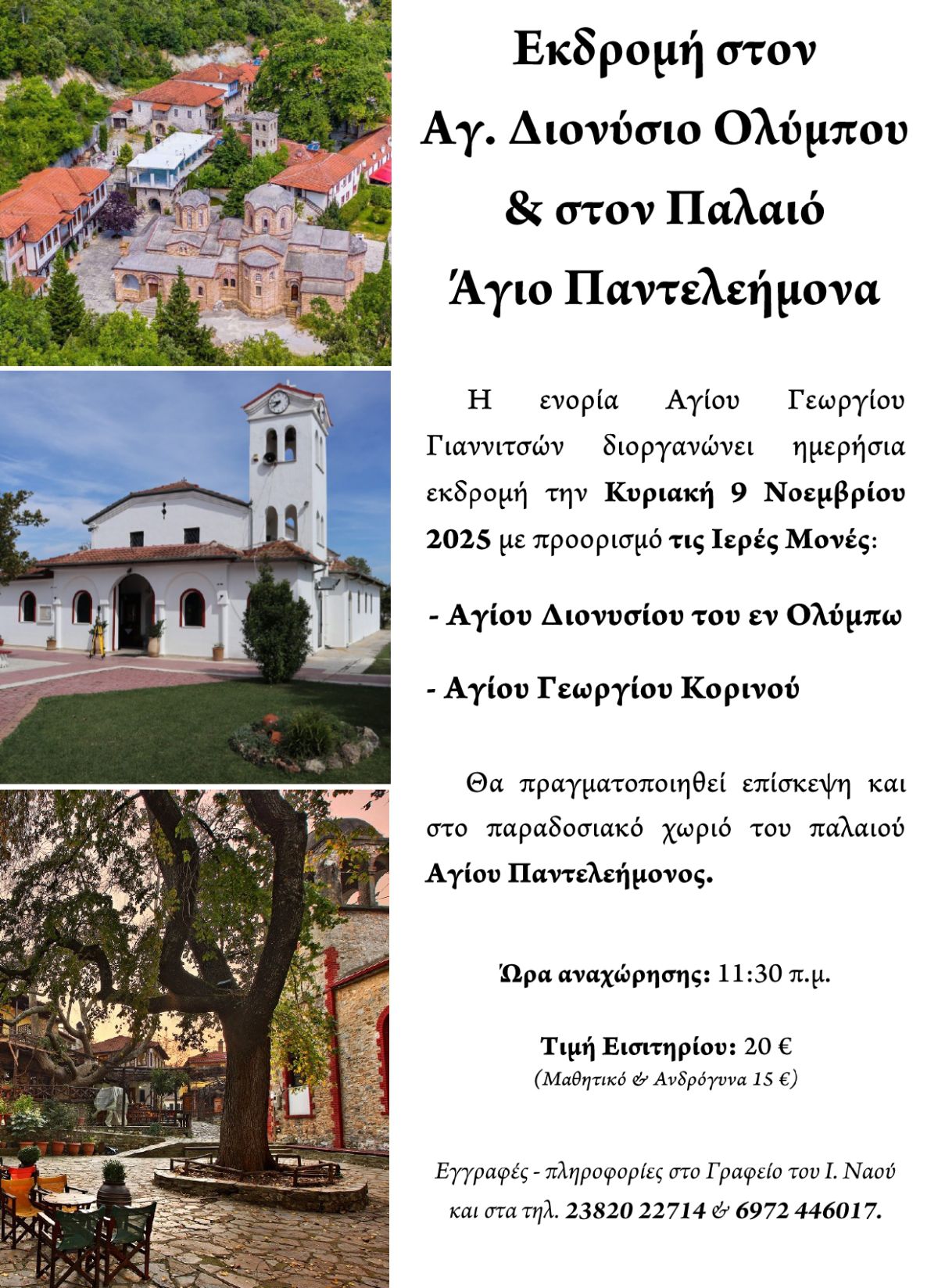 ΕΚΔΡΟΜΗ ΣΤΟΝ ΑΓ. ΔΙΟΝΥΣΙΟ ΟΛΥΜΠΟΥ