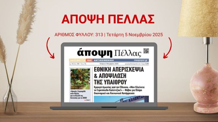 ΑΠΟΨΗ ΠΕΛΛΑΣ 313