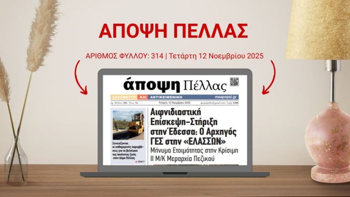 ΑΠΟΨΗ ΠΕΛΛΑΣ 314