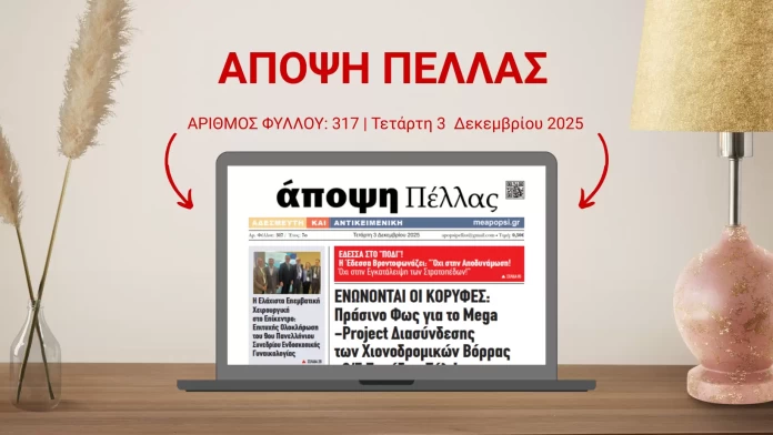 ΑΠΟΨΗ ΠΕΛΛΑΣ 317