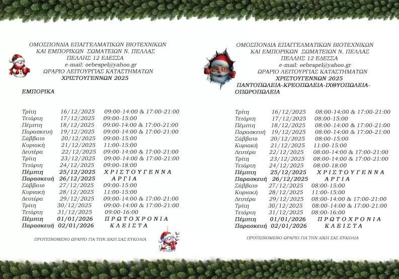 χριστουγεννα 2025-1