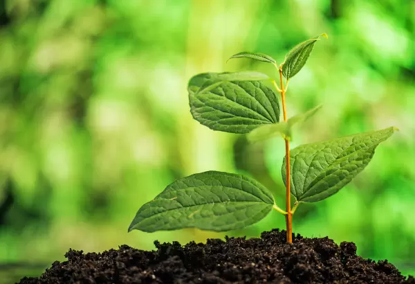 Νέος αγρότης Τι χρειάζεσαι