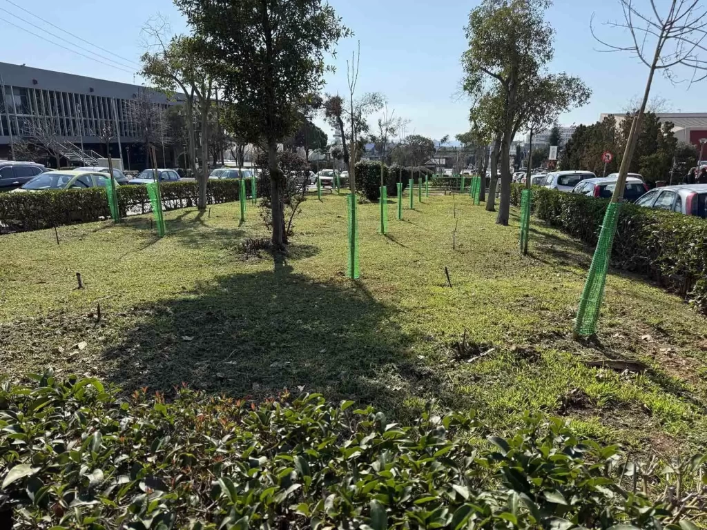 Δενδροφύτευση ΑΠΘ