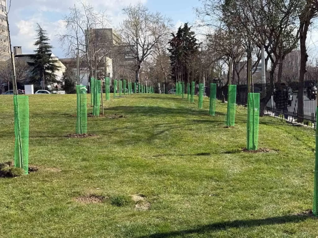 Πεντακόσια νέα δέντρα από τον Δήμο Θεσσαλονίκης