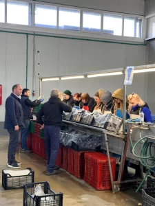 Επίσκεψη Λάκη Βασιλειάδη σε αγροτικούς συνεταιρισμούς και ομάδες παραγωγών της Αλμωπίας για το σπαράγγι (3)