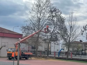 Ευχαριστήριο προς το Δήμο Πέλλας