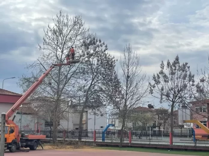 Ευχαριστήριο προς το Δήμο Πέλλας
