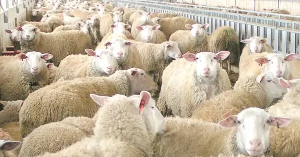 Διευκρινίσεις σχετικά με τα μέτρα περιορισμού