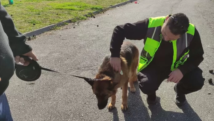 Διμηνιαίος απολογισμός Ελέγχων Ζώων Συντροφιάς