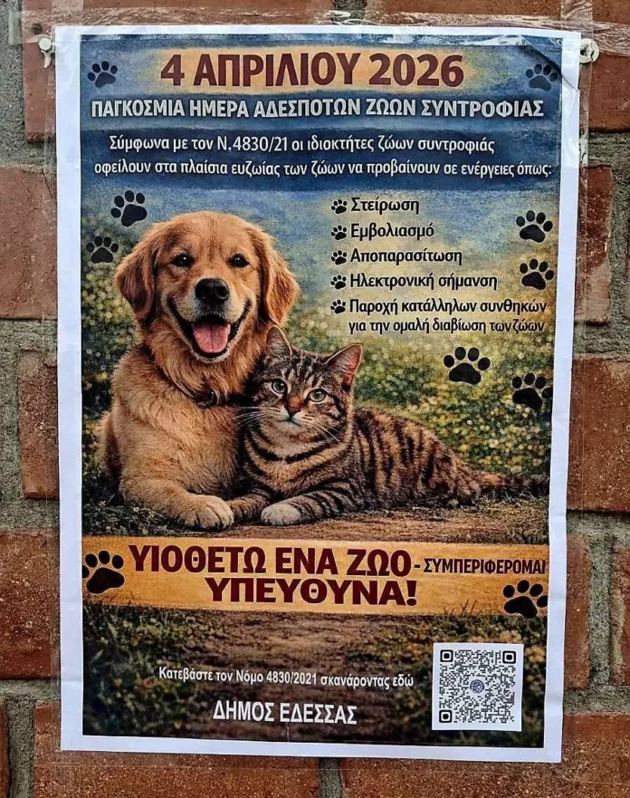 4 Απριλίου – Ημέρα Αδέσποτων Ζώων Συντροφιάς (4)