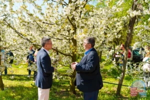 ΑΝΘΙΣΜΕΝΕΣ ΚΕΡΑΣΙΕΣ 2026 ΒΡΥΤΑ.jpg6