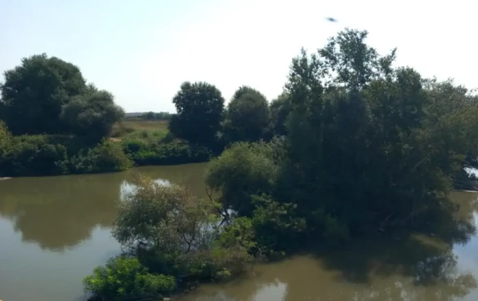 Απαγόρευση ενάσκησης επαγγελματικής