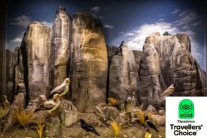 ΔΙΕΘΝΗΣ ΑΝΑΓΝΩΡΙΣΗ ΓΙΑ ΤΟ ΜΟΥΣΕΙΟ