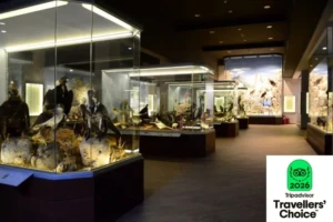 ΔΙΕΘΝΗΣ ΑΝΑΓΝΩΡΙΣΗ ΓΙΑ ΤΟ ΜΟΥΣΕΙΟ