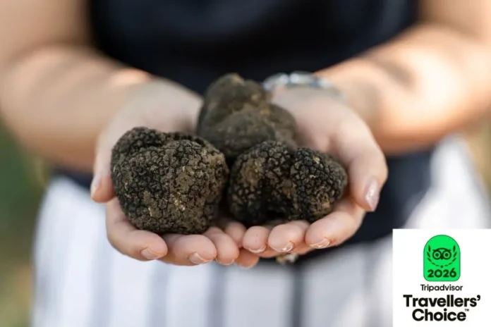 ΔΙΕΘΝΗΣ ΑΝΑΓΝΩΡΙΣΗ ΓΙΑ ΤΟ ΜΟΥΣΕΙΟ ΦΥΣΙΚΗΣ ΙΣΤΟΡΙΑΣ ΜΕΤΕΩΡΩΝ ΚΑΙ ΜΟΥΣΕΙΟ ΜΑΝΙΤΑΡΙΩΝ