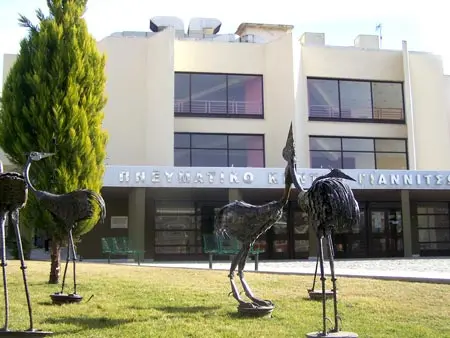 ΔΙΗΜΕΡΕΣ ΜΟΥΣΙΚΟΧΟΡΕΥΤΙΚΕΣ ΕΚΔΗΛΩΣΕΙΣ