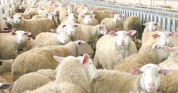 «ΑΣΠΙΔΑ» ΣΤΗΡΙΞΗΣ ΓΙΑ ΤΗ ΛΕΣΒΟ